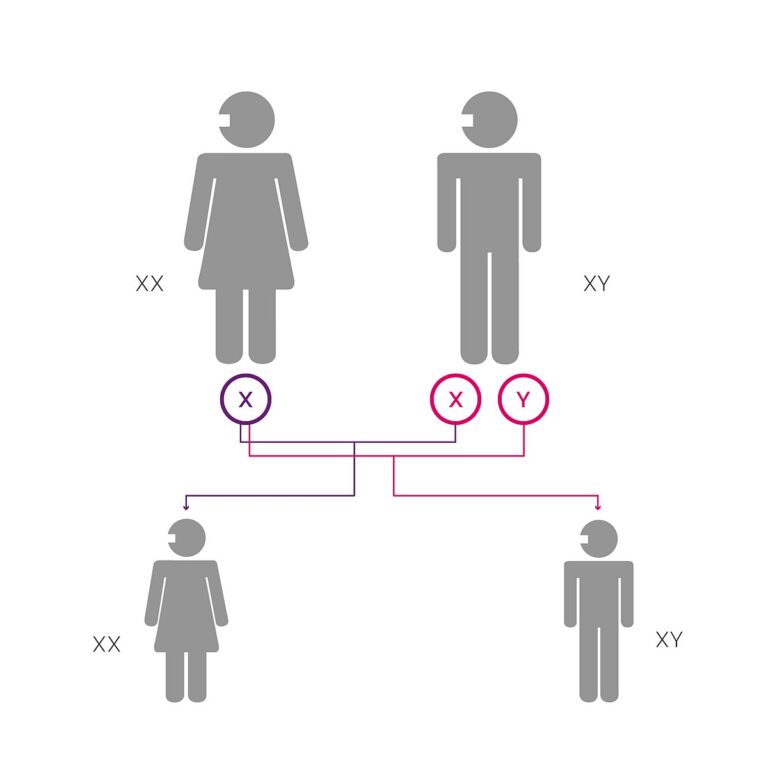 পুরুষেরা কেন নারীদের চেয়ে কম দিন বাঁচে