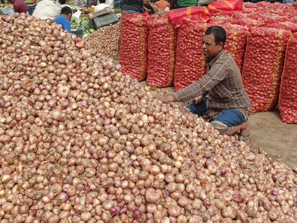 দুর্গাপুরে লোকসানের মুখে পেঁয়াজ চাষিরা
