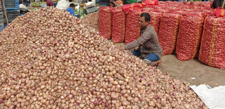 দুর্গাপুরে লোকসানের মুখে পেঁয়াজ চাষিরা