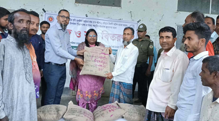 তানোরে কৃষকের মাঝে সার বীজ বিতরণ