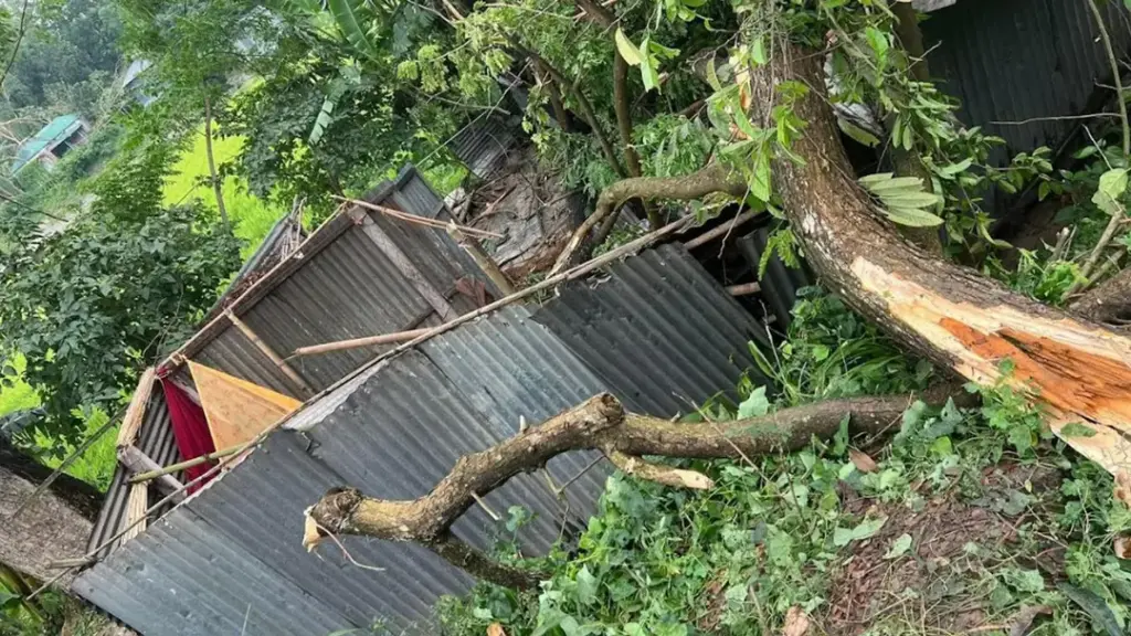 সিরাজগঞ্জে ঝড়ে ঘরের ওপর গাছ পড়ে নারীর মৃত্যু