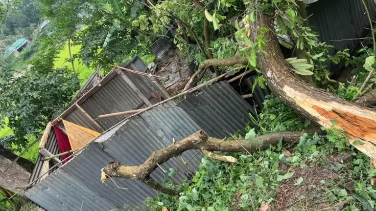 সিরাজগঞ্জে ঝড়ে ঘরের ওপর গাছ পড়ে নারীর মৃত্যু
