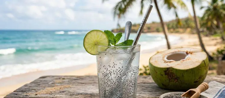 তীব্র গরমে হারানো পুষ্টি ফিরিয়ে দেবে ডাবের পানি ও চিয়া সিড