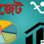 ৯ লাখ ৩৮ হাজার কোটি টাকার বাজেট পেশ