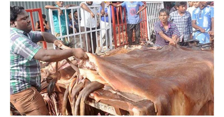 চামড়া খাতে সিন্ডিকেট ভাঙার আহ্বান, এতিমদের ন্যায্য অধিকার নিশ্চিতের দাবি সোহানী শিফার