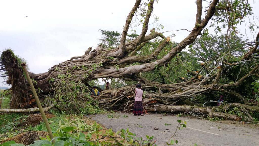 নওগাঁয় ঝড়ে লন্ডভন্ড বাড়িঘর-দোকানপাট