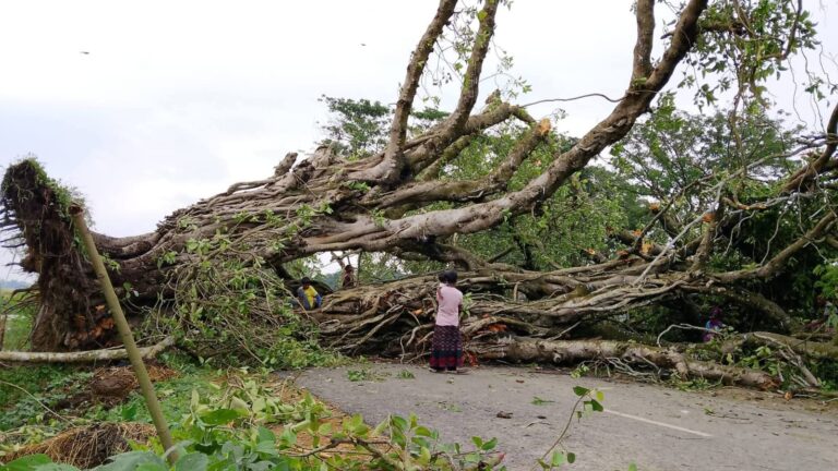 নওগাঁয় ঝড়ে লন্ডভন্ড বাড়িঘর-দোকানপাট