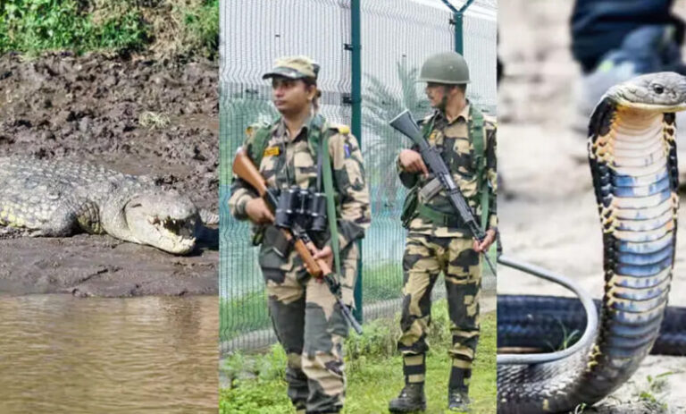 সীমান্তে বাংলাদেশী মানুষ মারতে কুমির ও বিষধর সাপ ছাড়ছে ভারত