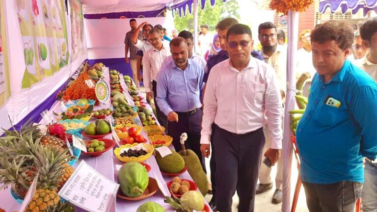 কৃষকদের উদ্বুদ্ধ করতে রাজশাহীতে ফল ও আম মেলার আয়োজন