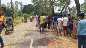 খড়ের ওপর নিয়ন্ত্রণ হারিয়ে  পিকআপের নিচে নিহত ২