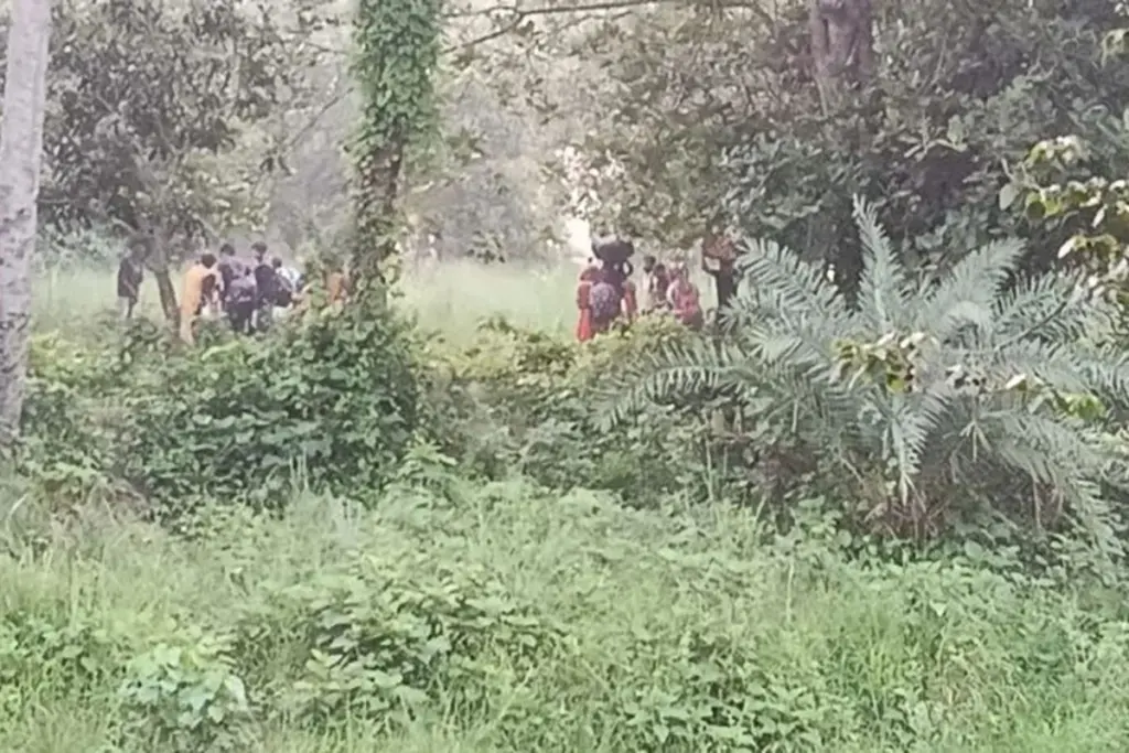 চাঁপাইনবাবগঞ্জে সীমান্তে ২৮ জনকে পুশইনের চেষ্টা বিএসএফের