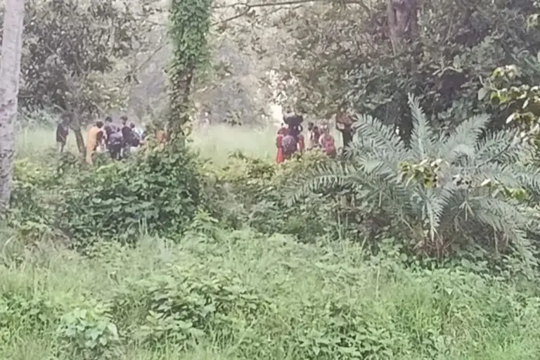 চাঁপাইনবাবগঞ্জে সীমান্তে ২৮ জনকে পুশইনের চেষ্টা বিএসএফের