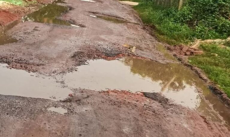 তানোরে মুন্ডুমালা-সাতপুকুরিয়া রাস্তা চলাচলের অযোগ্য, ভোগান্তি