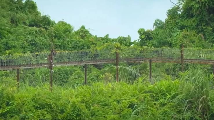 দুই প্রতিবেশীকে শক্ত জবাব, সীমান্তে প্রথমবার বেড়া দিচ্ছে বাংলাদেশ