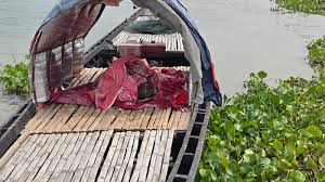নাটোরে পদ্মা নদীতে গোলাগুলি, জেলে নিহত