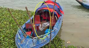 পদ্মার চরে গোলাগুলি, স্পিডবোটে মিলল যুবকের গুলিবিদ্ধ লাশ