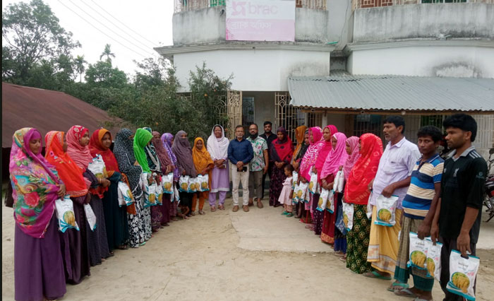 পবার হরিপুরে আমন ধানের বীজ বিতরণ