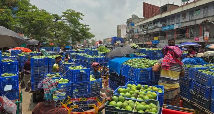শিল্পায়নের দাবি চাষিদের নওগাঁয় মৌসুমে নষ্ট হয় ৩০০ কোটি টাকার আম