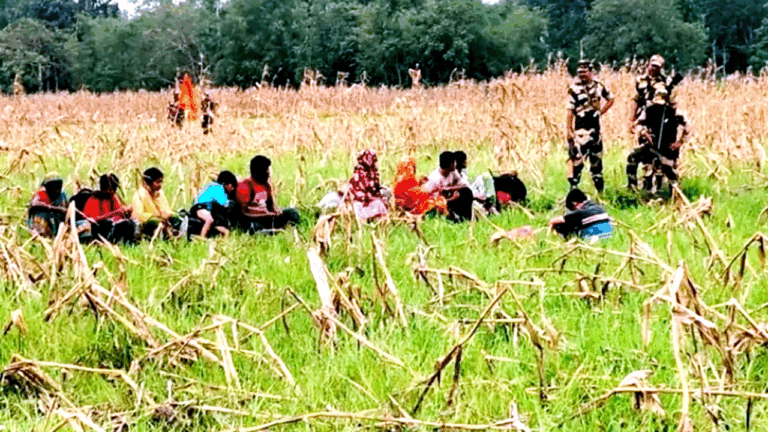 পুশইনের আশঙ্কায় চারঘাট সীমান্তে বিজিবির নিরাপত্তা জোরদার