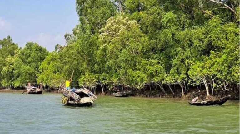 সুন্দরবন প্রবেশে ৩ মাসের নিষেধাজ্ঞা