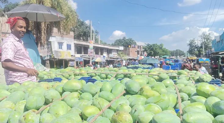 শেষ সময়ে চড়া রাজশাহীর আমের বাজার