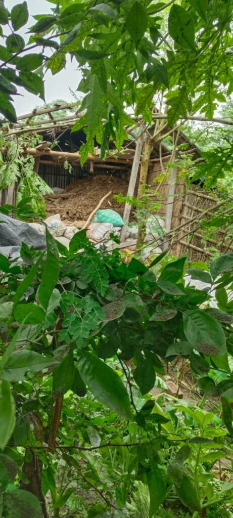 চাঁপাইনবাবগঞ্জে বসত বাড়িতে অর্ধশত ককটেল ককটেল বিস্ফোরণ