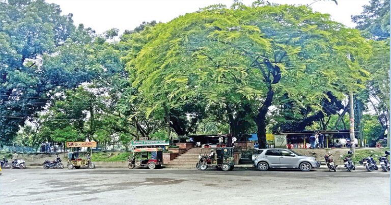 জীববৈচিত্র্য সংরক্ষণ এলাকা ঘোষিত হলো নগরীর শিমলা পার্ক