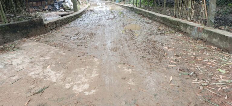 তানোরে রাস্তার কাজ ফেলে লাপাত্তা ঠিকাদার