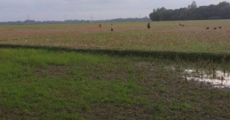 তানোরে আষাঢ়ে চৈত্রের খরতাপ অতিষ্ঠ জনজীবন, আমন রোপণে বিলম্ব