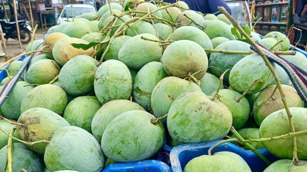 পোরশায় রেকর্ড দামে বিক্রি হচ্ছে বারি-৪