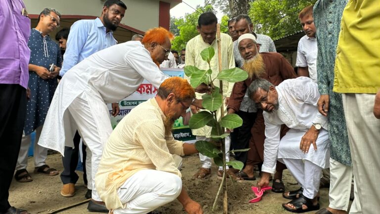 বড়াইগ্রামে বৃক্ষরোপণ কর্মসূচী