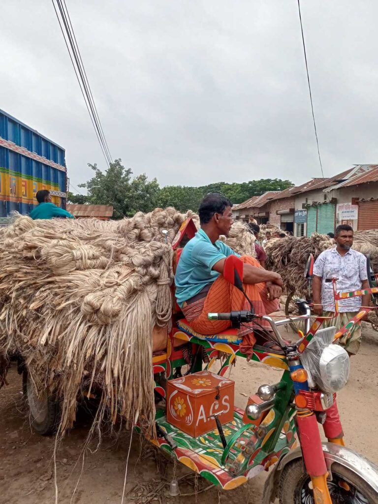 রাজশাহীর হাটে হাটে উঠছে নতুন পাট, দামে খুশি চাষিরা
