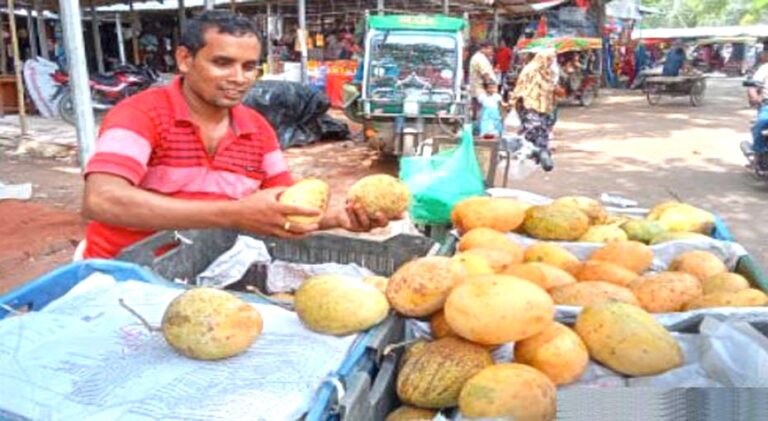 মৌসুম শেষে বাজারে আশ্বিনা আম, দাম চড়া