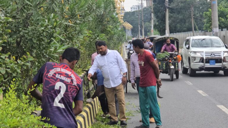 নগরীর আইল্যান্ডে গাছের পরিচর্যা কার্যক্রম পরিদর্শনে রাসিক প্রশাসক