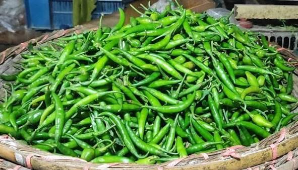 সোনামসজিদ বন্দরে এলো  ভারতীয় কাঁচা মরিচ