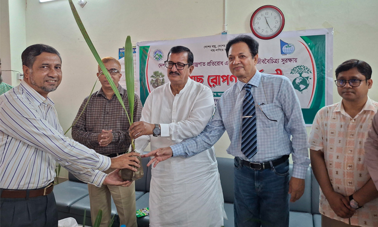 গাছ রোপণের পাশাপাশি এর পরিচর্যায়ও গুরুত্ব দিতে হবে: ভূমিমন্ত্রী মিনু
