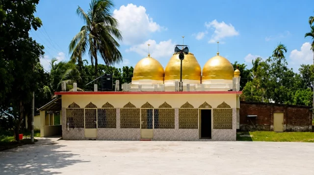 নাটোরে জঙ্গল পরিষ্কার করতে গিয়ে মিলল ৪০০ বছরের পুরোনো মসজিদ!