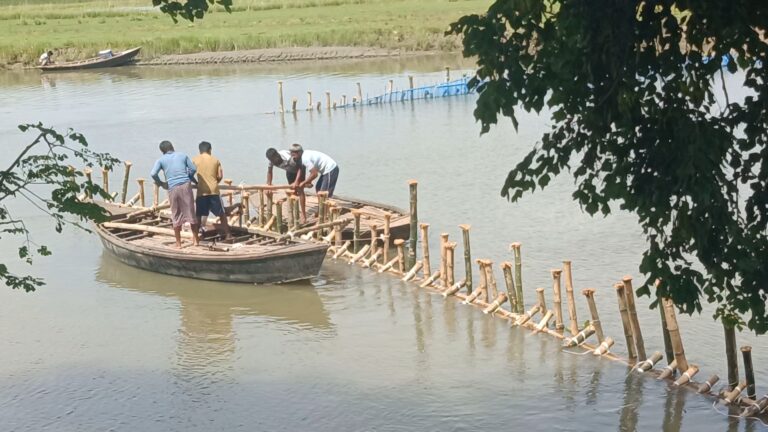 পোরশায় পুনর্ভবা নদীতে অবৈধ সুতি জালের দাপটে বিপাকে মৎস্যজীবীরা