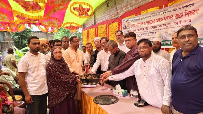 বড়াইগ্রামে হাঁসের  বাচ্চা বিতরণ