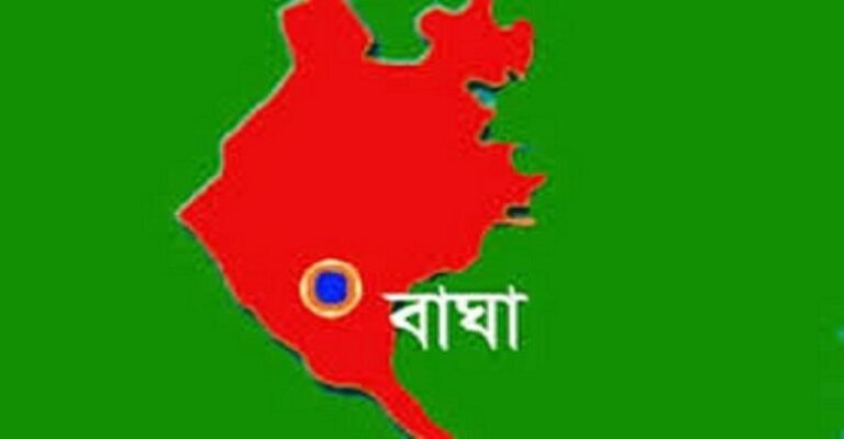 বাঘায় বিএনপি নেতার বাড়িতে বিস্ফোরণ