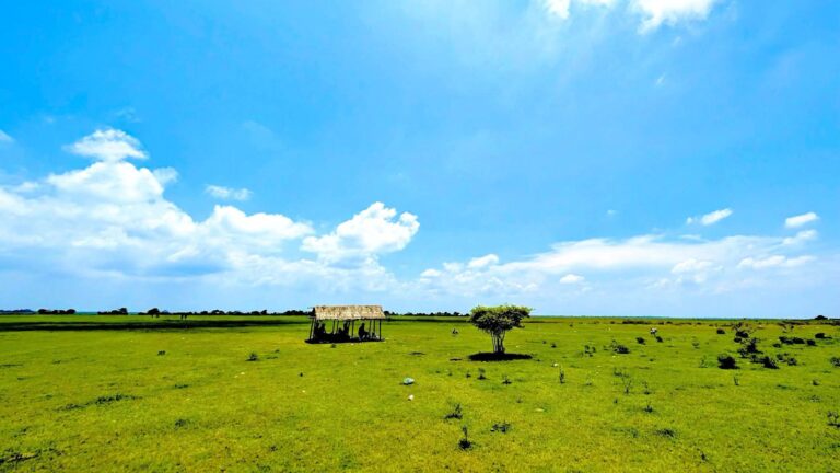 নাগরিক সেবাবঞ্চিত রাজশাহীর মিডল চরবাসী