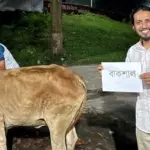 রাবিতে ‘বাকশাল’ নামে গরু জবাই আম্মারের নেতৃত্বে ‘জুলাই জিয়াফত’
