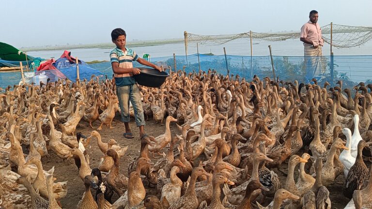 সাপাহার সোনাডাঙ্গা সীমান্ত সড়ক চলাচলের অযোগ্য