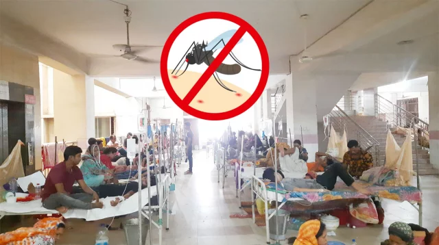 রাজশাহীতে ভর্তি ১১৬ডেঙ্গুতে এ বছর একদিনে সর্বোচ্চ মৃত্যু ও হাসপাতালে ভর্তির রেকর্ড