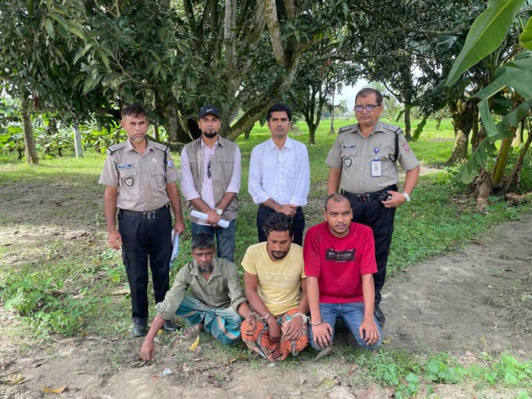 পুঠিয়ায় ৩ মাদক কারবারীর কারাদণ্ড