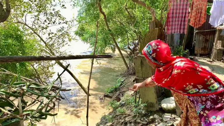 রাজশাহীর পদ্মার পানি কমে বেড়েছে সাপের আতঙ্ক