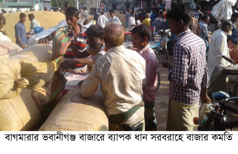 ধানের দাম কমাতে কৃষক পরিবারে হাহাকার বাগমারায় ধানের দাম কমলেও চালের দাম কমেনি