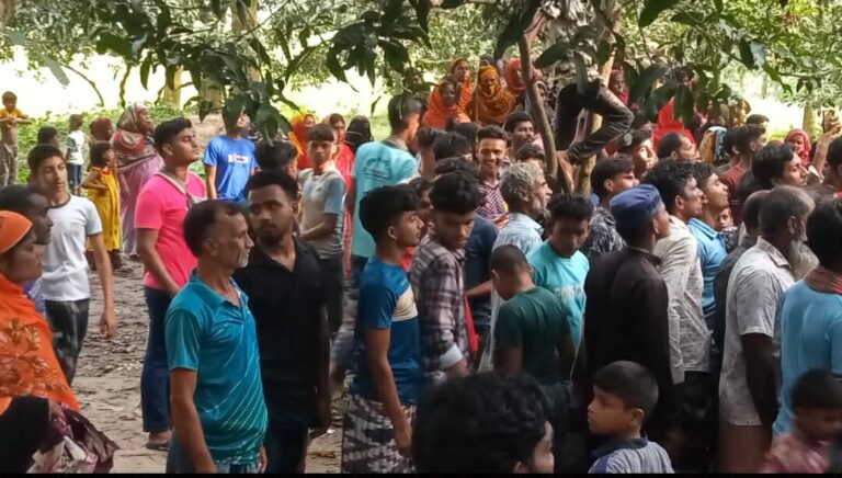 পদ্মায় বোতল তুলতে গিয়ে ডুবে শিশুর মৃত্যু