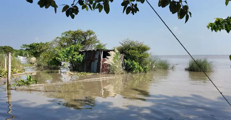 রাজশাহীতে ৫ দিনে পদ্মার পানি কমেছে ২১ সেন্টিমিটার