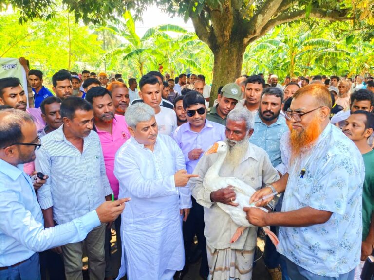 পবায় গবাদিপশু ও হাঁস মুরগির ফ্রি ভ্যাকসিনেশন